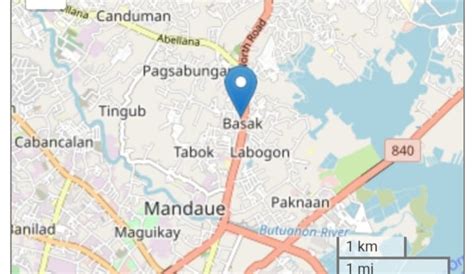 mandaue city zip code